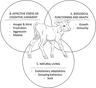 Welfare implications on management strategies for rearing dairy calves: A systematic review. Part 1–feeding management